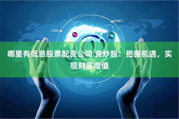 哪里有低息股票配资公司 资炒股：把握机遇，实现财富增值