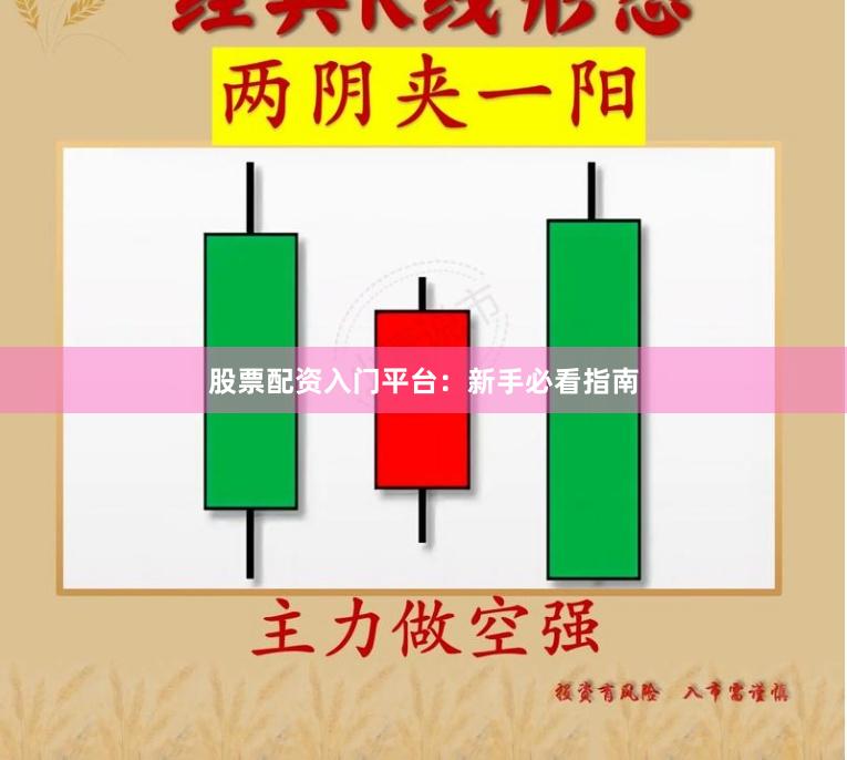 股票配资入门平台：新手必看指南
