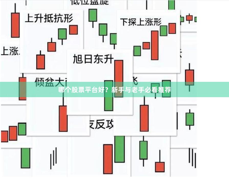 哪个股票平台好？新手与老手必看推荐
