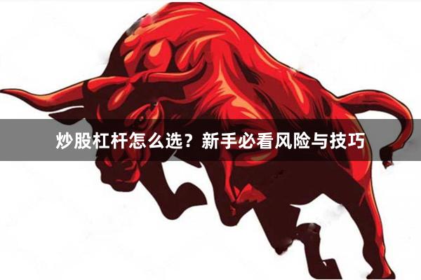 炒股杠杆怎么选？新手必看风险与技巧