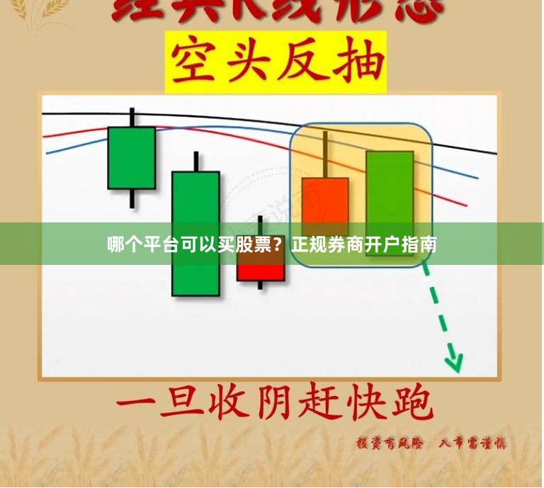 哪个平台可以买股票？正规券商开户指南