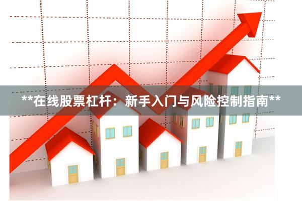 **在线股票杠杆：新手入门与风险控制指南**